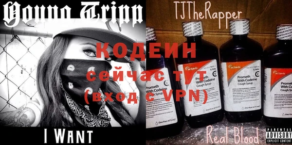 молекула духа Белоозёрский