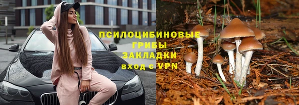 экстази Белокуриха