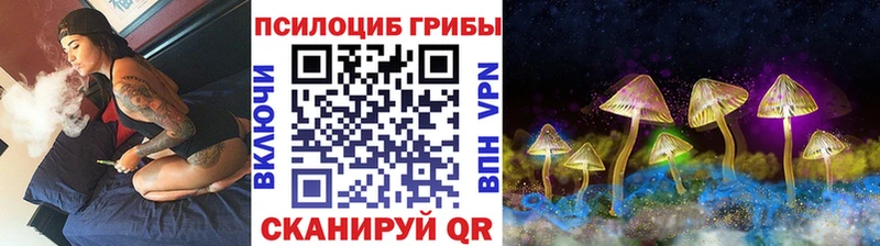 Псилоцибиновые грибы Psilocybe  купить наркоту  Чернушка 